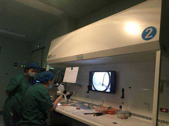 广州供卵试管：医学指征、合规路径与就诊准备