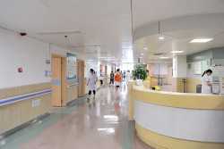 卵巢功能下降后如何评估：AMH、窦卵泡与个体化方案